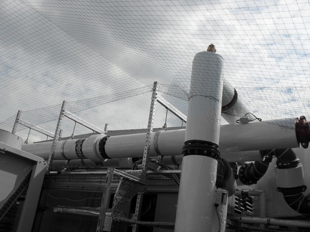 Bird Control in Bicester, Oxfordshire